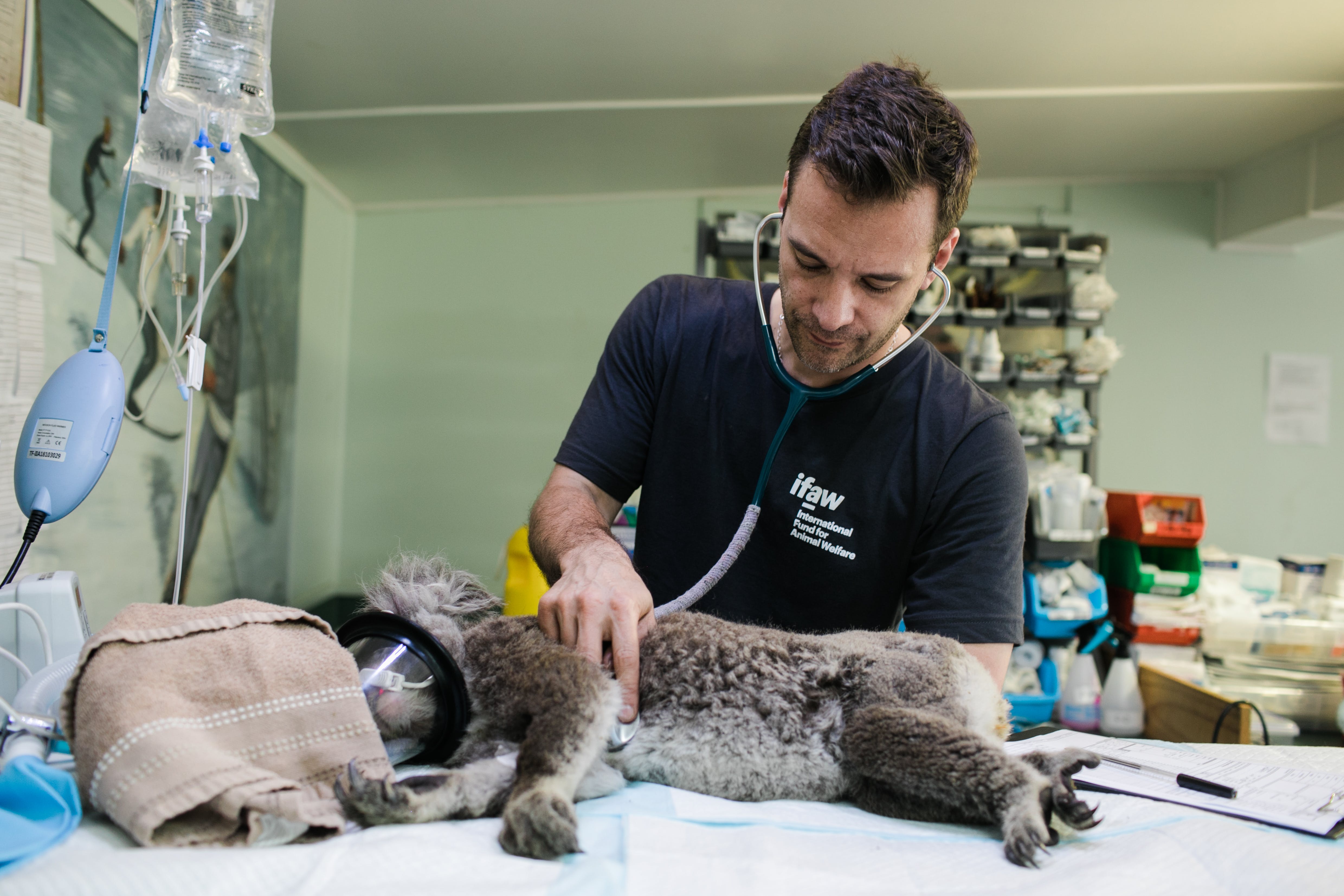 Suasana klinik Paws & Whiskers Care
